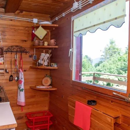 My Dream House * Vrhovci