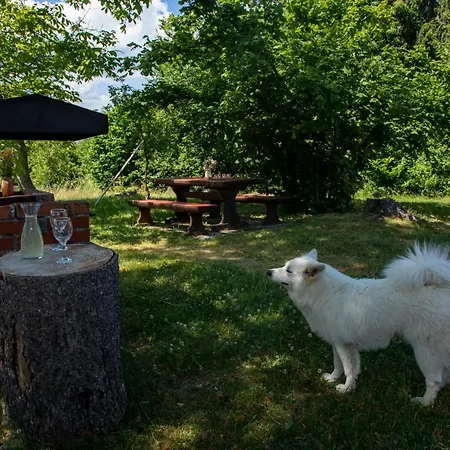 Дом отдыха My Dream House