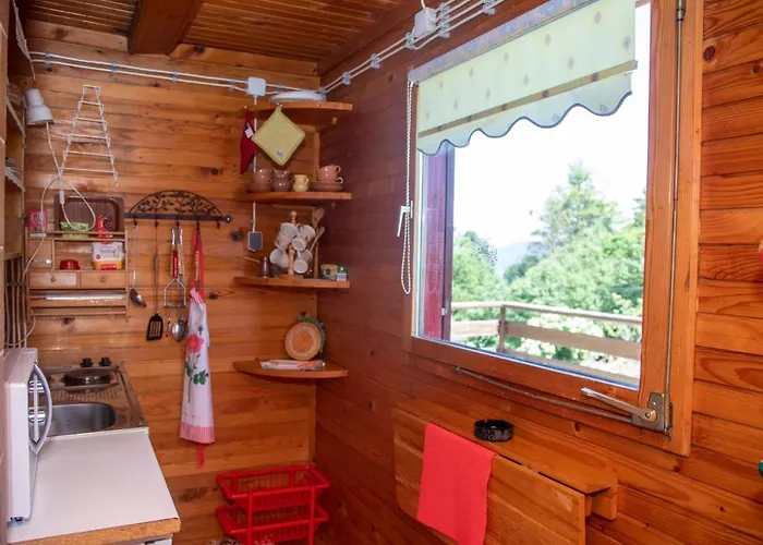 My Dream House * Vrhovci